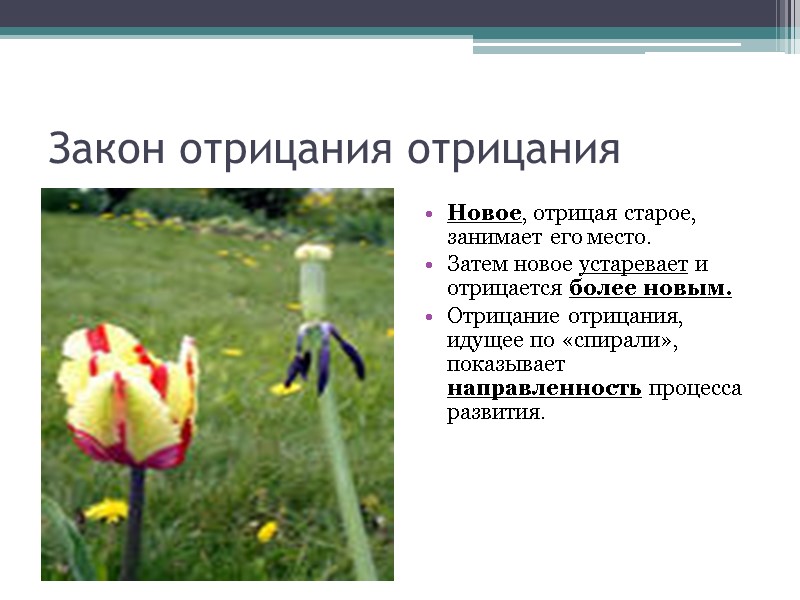 Закон отрицания отрицания Новое, отрицая старое, занимает его место. Затем новое устаревает и отрицается